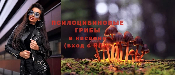 гидропоника Арсеньев