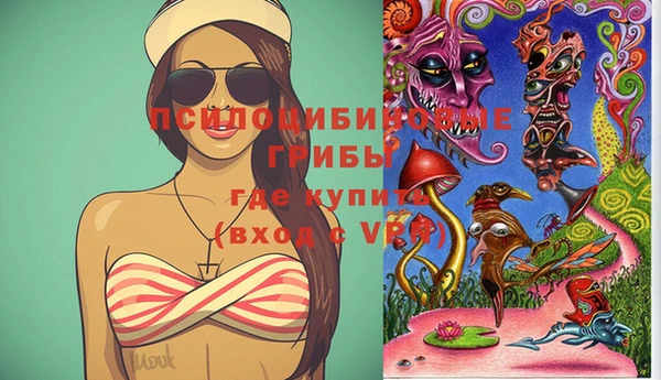 гидропоника Арсеньев